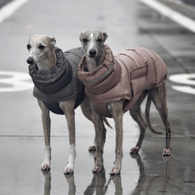 Lightly padded winter jacket with high collar and reflective details