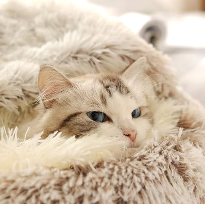 Soothing cat cave in soft plush