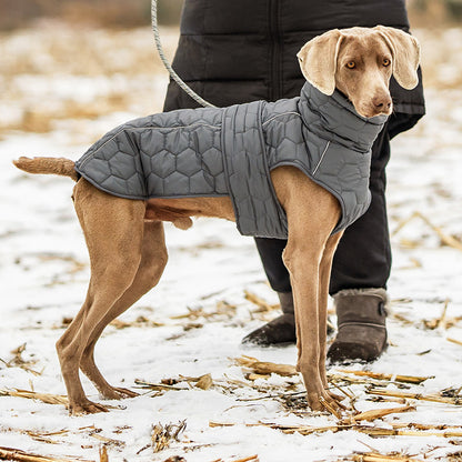 Quilted warm winter vest for your dog