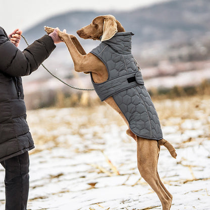 Quilted warm winter vest for your dog