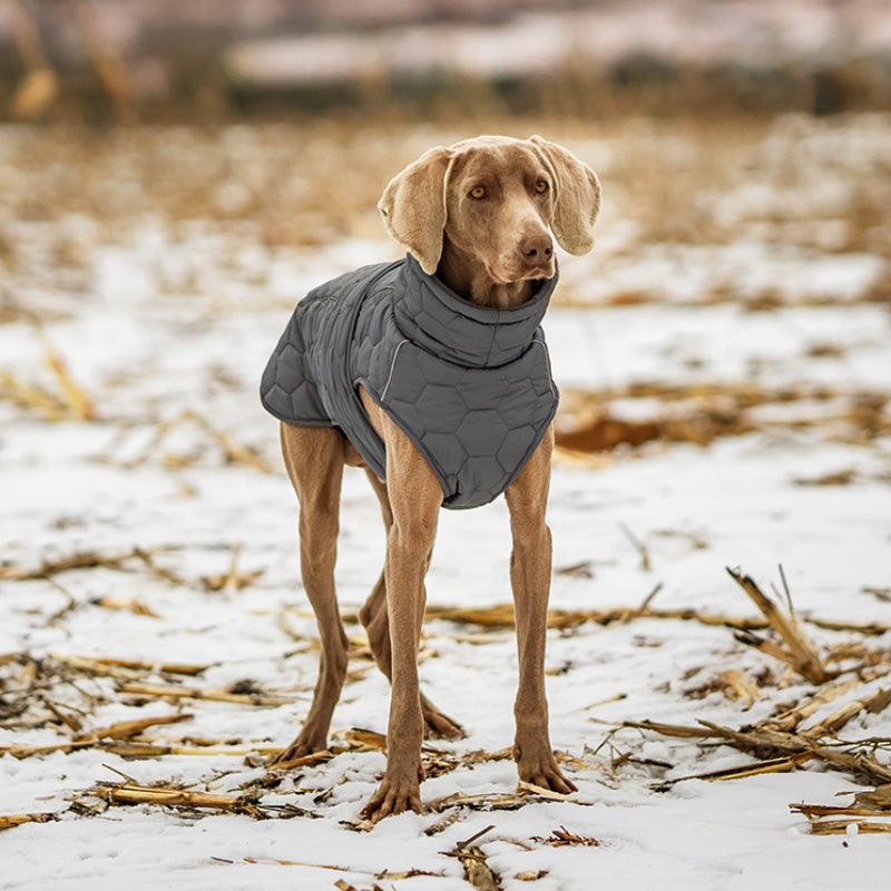 Kviltad varm vinterväst för din hund