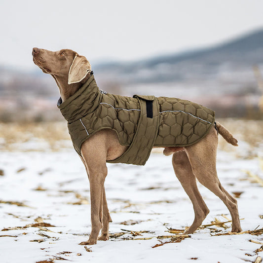 Kviltad varm vinterväst för din hund