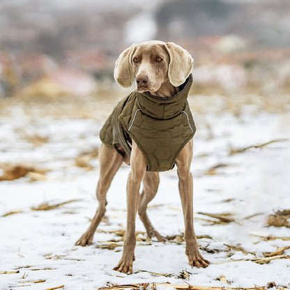 Quilted warm winter vest for your dog