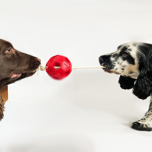 Durable rubber ball toy for dogs