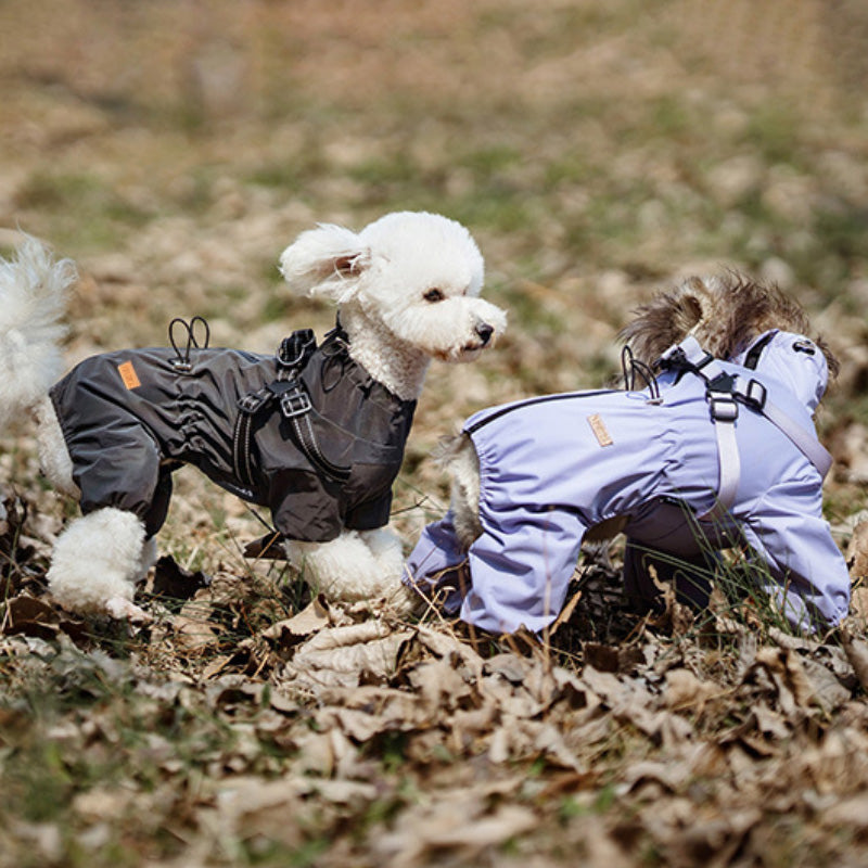 Rain jacket with built-in harness and practical features
