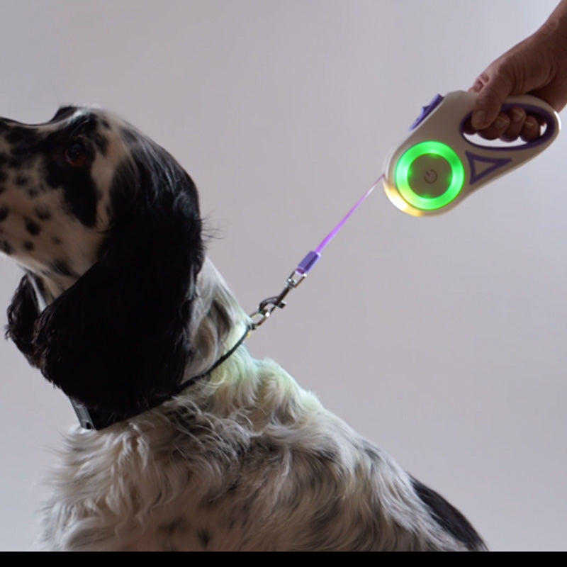 Retractable dog leash with dual light functions