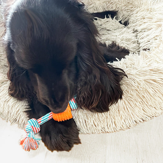 Cotton rope chew toy with rubber ball for dogs