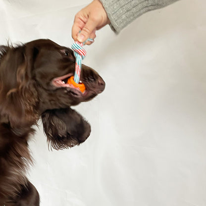 Cotton rope chew toy with rubber ball for dogs