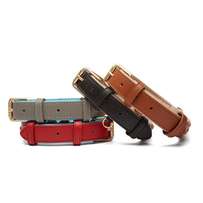 Luxurious two-tone leather dog collar with personal engraving