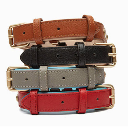 Luxurious two-tone leather dog collar with personal engraving