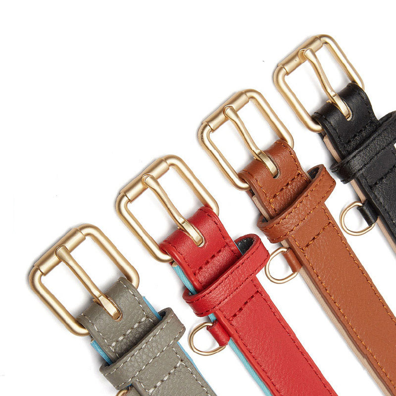 Luxurious two-tone leather dog collar with personal engraving