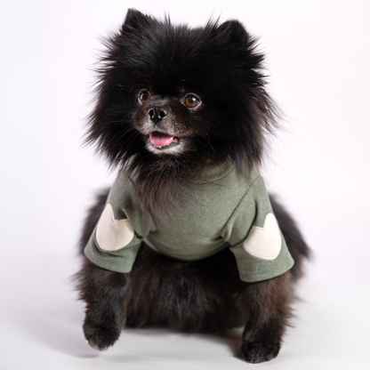 Weicher Hundepullover aus gebürstetem Jersey mit Herzdetails