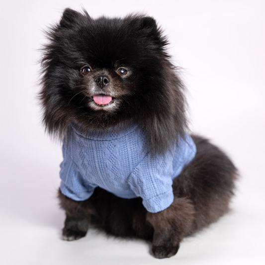 Cable knit wool sweater for dogs
