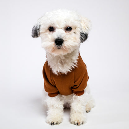 Cotton hoodie for dogs in many colors