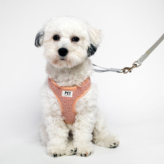 Easy to put on and take off dog harness and leash set