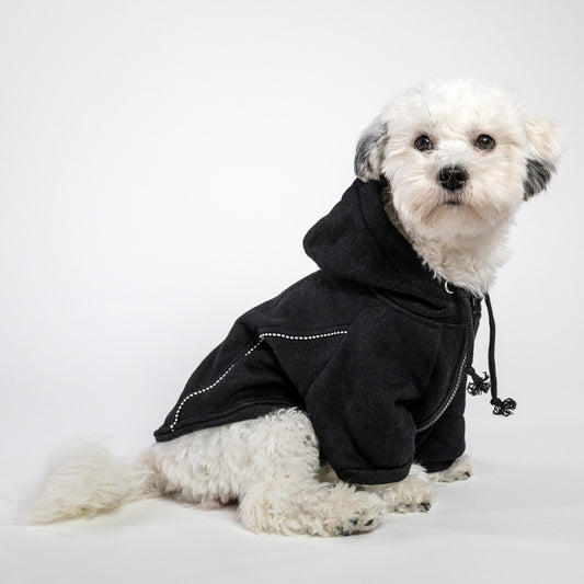 Fleece-lined hoodie in cotton blend for dogs