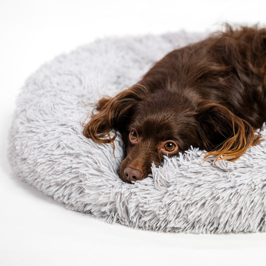 Dog bed with calming effect - several sizes 