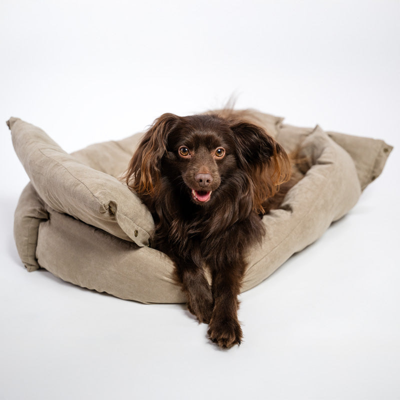 3-in-1 cooling dog sofa in cotton