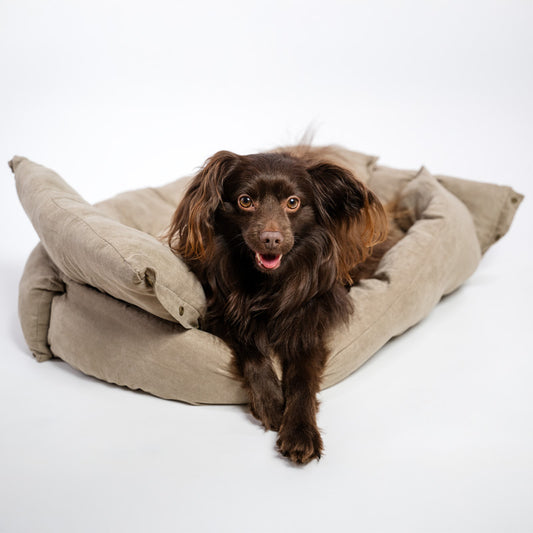 3-in-1 cooles Hundesofa aus Baumwolle