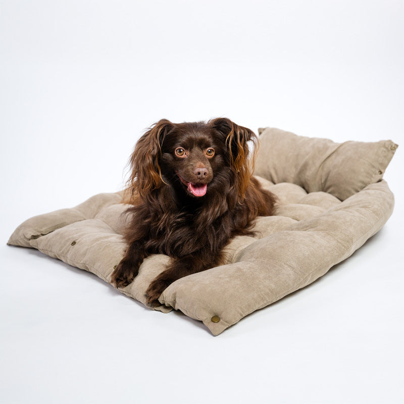 3-in-1 cooling dog sofa in cotton