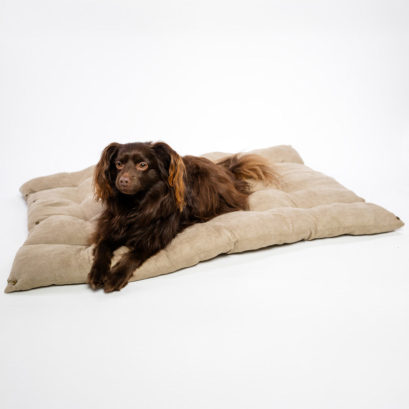 3-in-1 cooling dog sofa in cotton