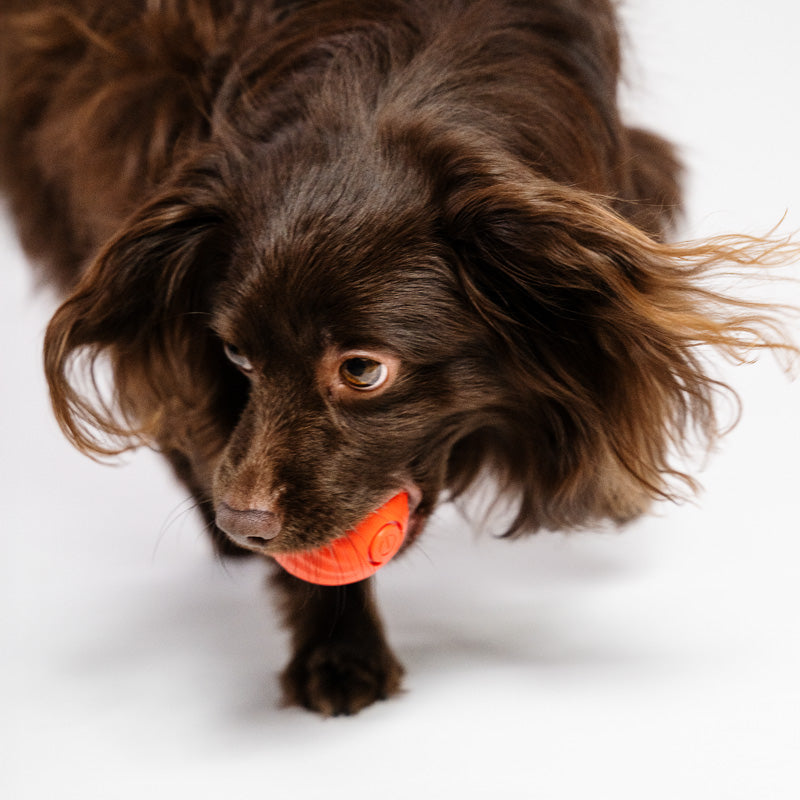 Smart Bouncing Ball for Dog Gravity Intelligent Charged by USB