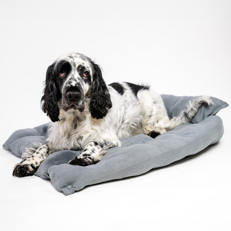 3-in-1 cooling dog sofa in cotton