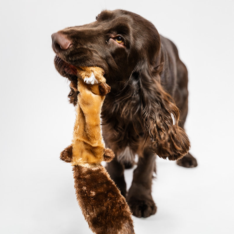 Bite-friendly soft toy for dogs with squeaking sound