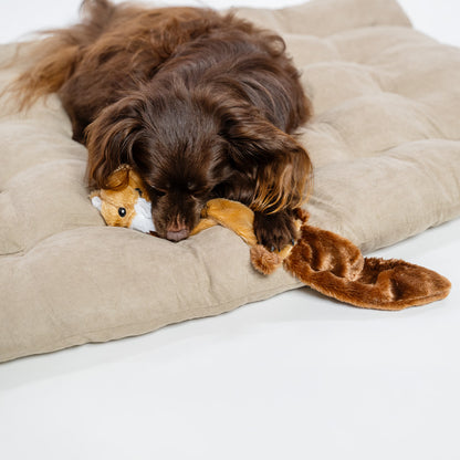 Bite-friendly soft toy for dogs with squeaking sound