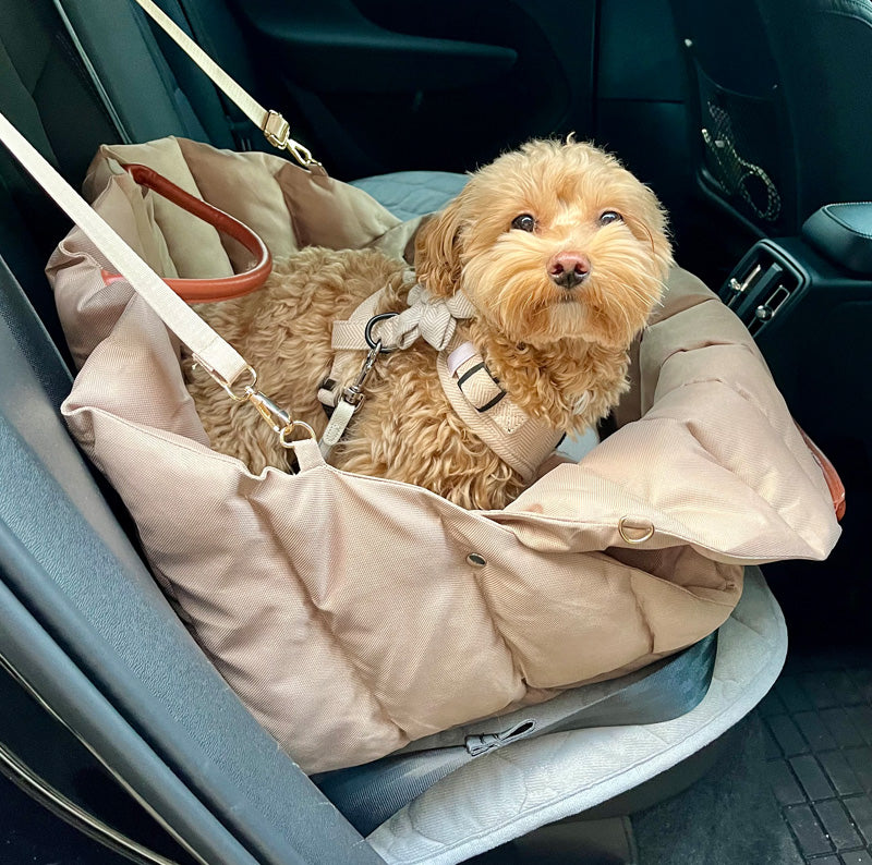 2-in-1 padded dog bag that easily converts into a comfortable car bed