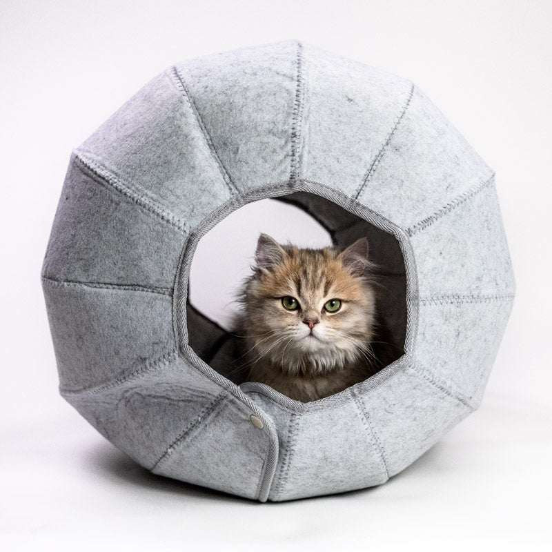 Expandable cat bed - many possibilities