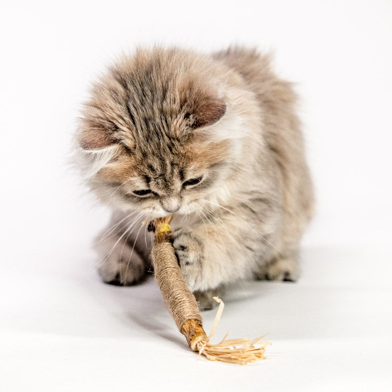 Silver wine chew stick with catnip - teeth cleaning