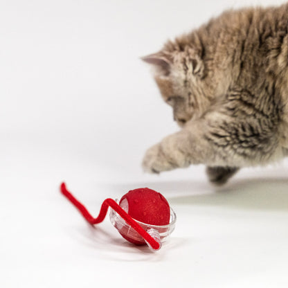 Interactive bouncing ball with chirping birds