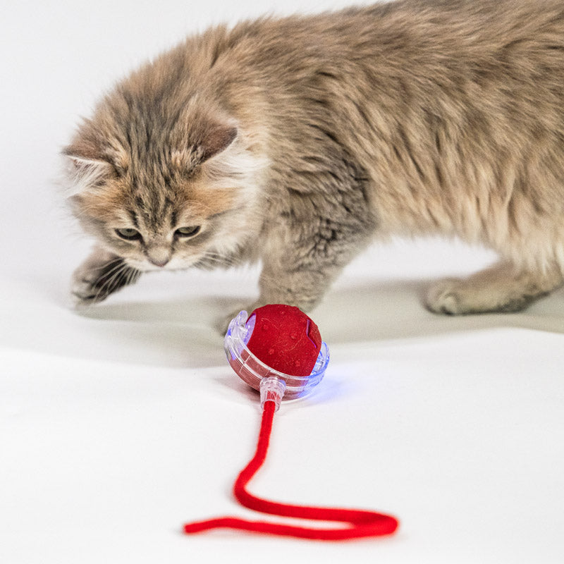 Interactive bouncing ball with chirping birds