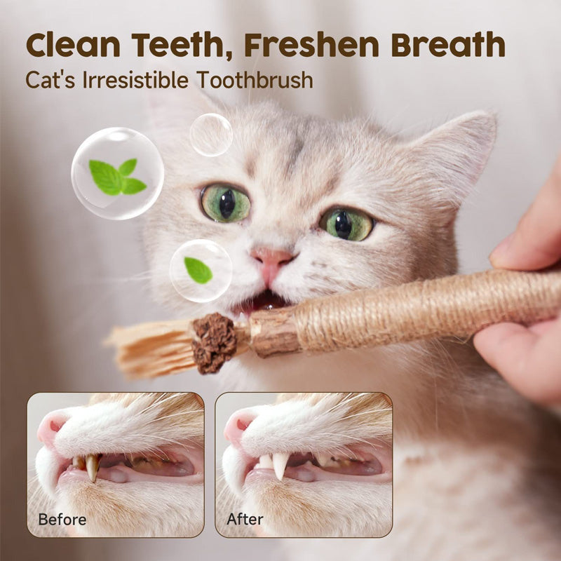 Silver wine chew stick with catnip - teeth cleaning