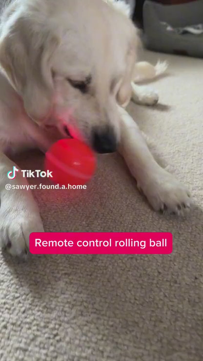 Automatic interactive jumping ball for dogs with USB charging