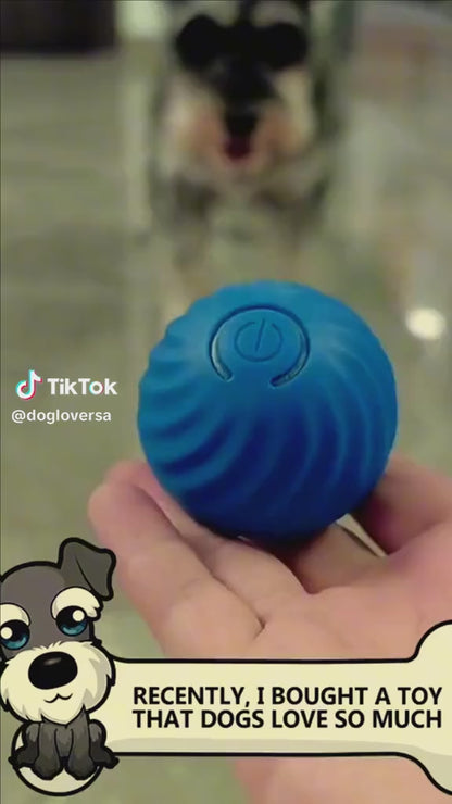 Smart Bouncing Ball for Dog Gravity Intelligent Charged by USB