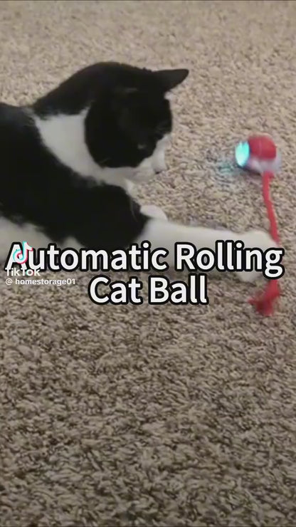 Interactive bouncing ball with chirping birds