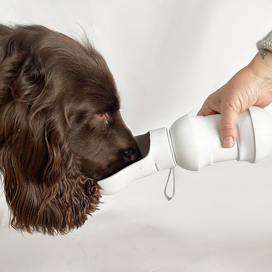 The perfect water bottle for the dog walk